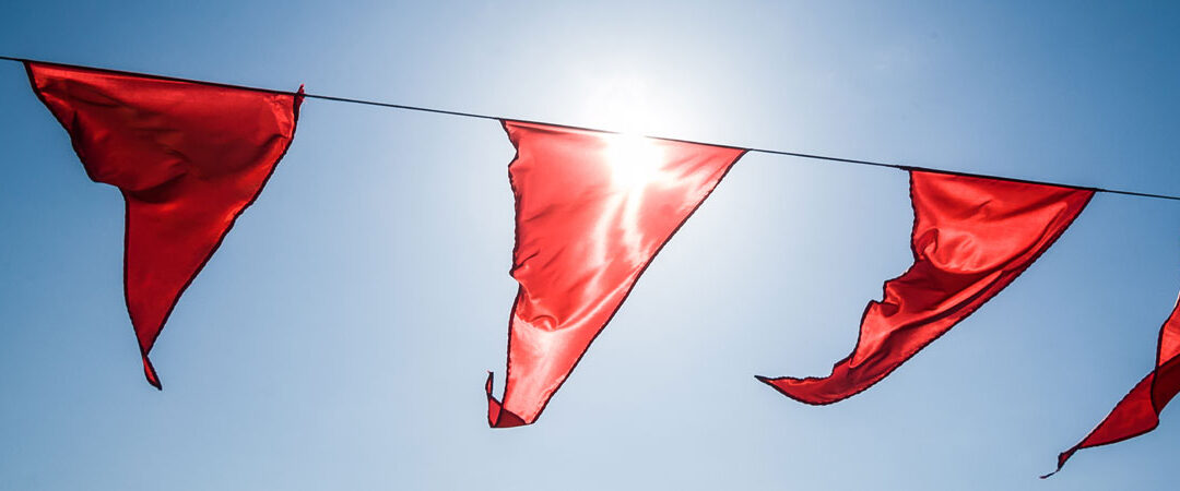 10 Red Flags For IRS Audits
