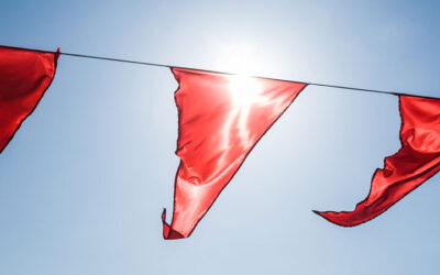 10 Red Flags For IRS Audits