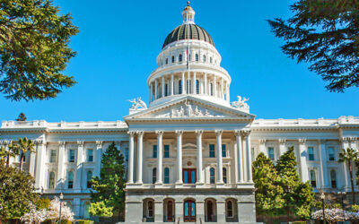 Photo of the US Capital building with trees and a blue sky